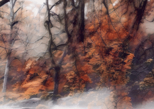 Misty Autumn Dream – Enchanted Forest Art Print