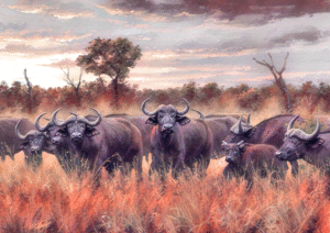Herd of African Buffalo Digital Art Print – Wall Art